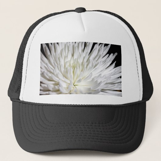White Chrysanthemum Flower Mums Flowers Foto Trucker Pet (Voorkant)