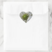 White Chrysanthemum Heart Hart Sticker (Tas)