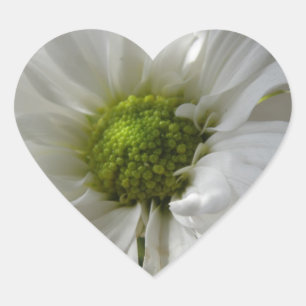 White Chrysanthemum Heart Hart Sticker