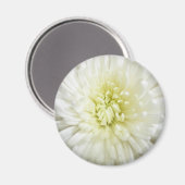 White Chrysanthemum Magneet (Voorkant / Achterkant)