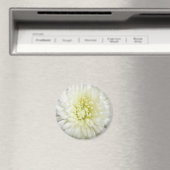White Chrysanthemum Magneet (Insitu (Vaatwasser))