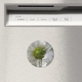 White Chrysanthemum Magnet (Insitu (Vaatwasser))