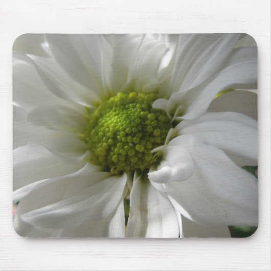 White Chrysanthemum Mousepad Muismat (Voorkant)