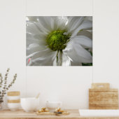 White Chrysanthemum Print (Keuken)