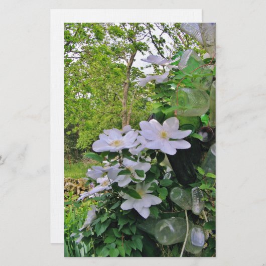 White Clematis Blossom Stationery Briefpapier (Voorkant / Achterkant)