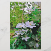White Clematis Blossom Stationery Briefpapier (Voorkant)