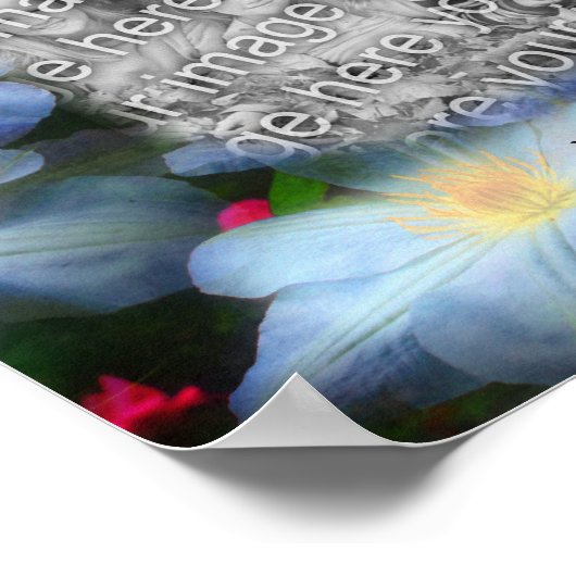 White Clematis Flower Lijst Creëer Uw eigen foto Poster (Hoek)