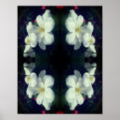 White Clematis Flower Pair Abstract Poster (Voorkant)