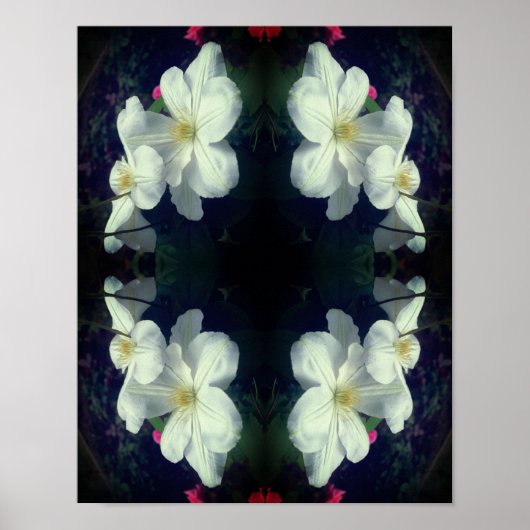 White Clematis Flower Pair Abstract Poster (Voorkant)