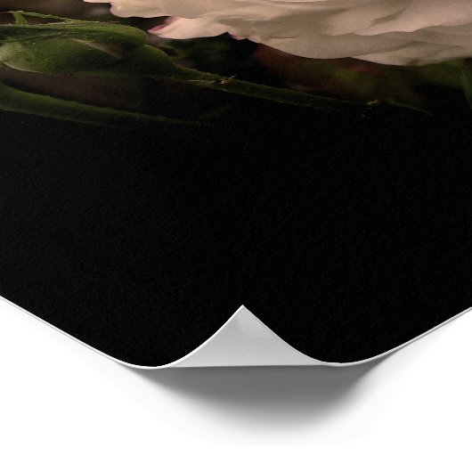 White Cloud Roos Poster (Hoek)