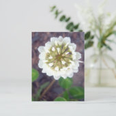 White Clover Blossom 1 Briefkaart (Staand voorkant)