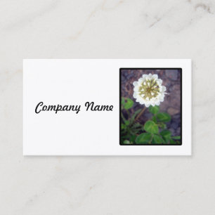 White Clover Blossom Visitekaartje