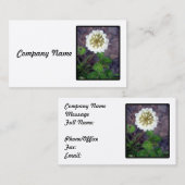 White Clover Blossom Visitekaartje (Voorkant / Achterkant)