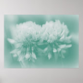 White CLover Wildflower in Aqua Poster (Voorkant)