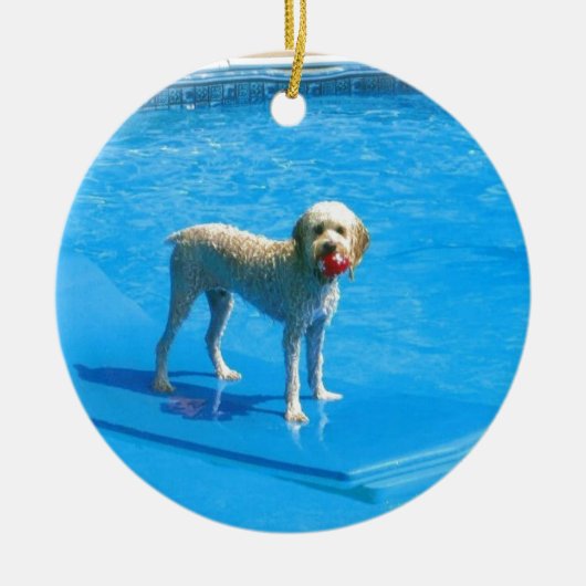 White Cockapoo Dog Swimming on a Raft Keramisch Ornament (Voorkant)