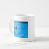 White Cockapoo Dog Swimming on a Raft Koffiemok (Voorkant links)