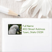 White Cockatau Etiket (Insitu)