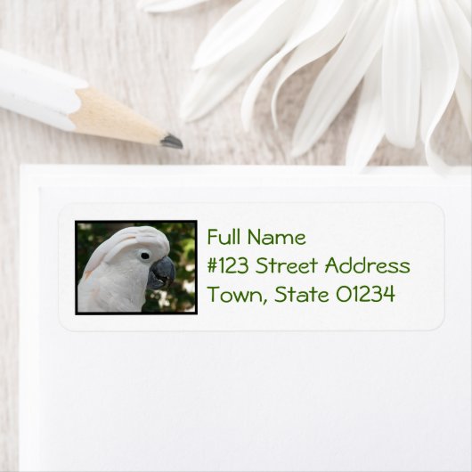 White Cockatau Etiket (Insitu)