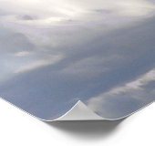 White Cockatau Poster (Hoek)