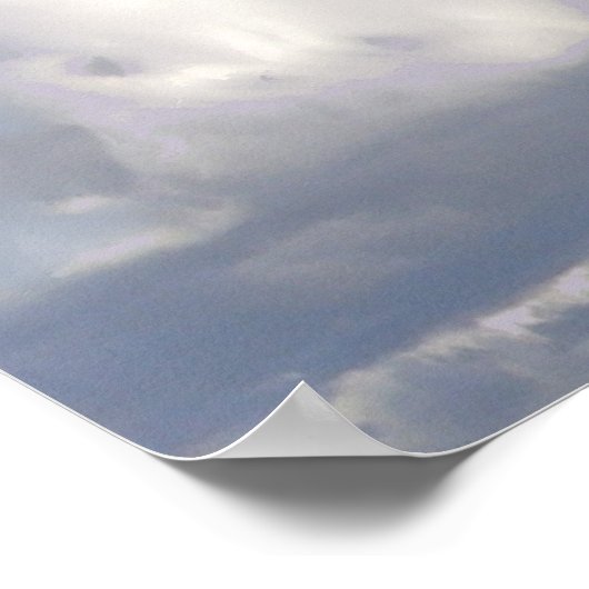 White Cockatau Poster (Hoek)