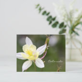 White Columbine Briefkaart (Staand voorkant)