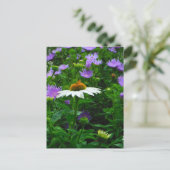 White Cone flower, paarse bloemen en moth Briefkaart (Staand voorkant)