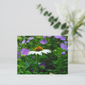 White Cone flower, paarse bloemen en moth Briefkaart (Staand voorkant)
