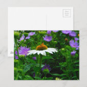 White Cone flower, paarse bloemen en moth Briefkaart (Voorkant / Achterkant)