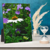 White Cone flower, paarse bloemen en moth Fotoplaat (Zijkant)