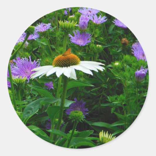 White Cone flower, paarse bloemen en moth Ronde Sticker (Voorkant)