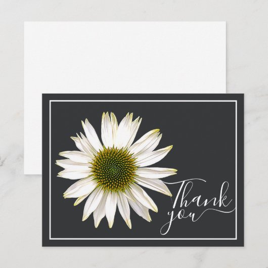 White Coneflower Charcoal Gray Backdrop Dank je Briefkaart (Voorkant / Achterkant)