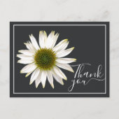 White Coneflower Charcoal Gray Backdrop Dank je Briefkaart (Voorkant)