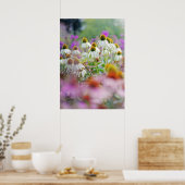 White Coneflowers Echinacea White Swan Poster (Keuken)