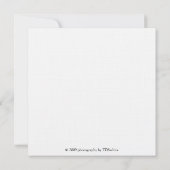 White Cosmos Floral Square Invitations Kaart (Achterkant)