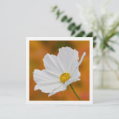 White Cosmos Floral Square Invitations Kaart (Staand voorkant)