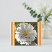 White Cosmos Flower Birthday Briefkaart (Staand voorkant)