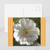 White Cosmos Flower Birthday Briefkaart (Voorkant / Achterkant)