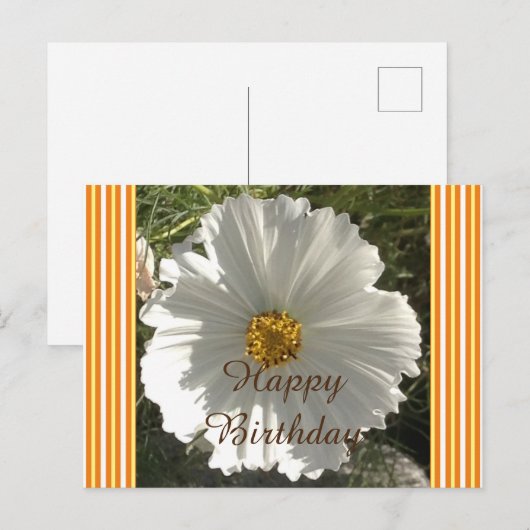 White Cosmos Flower Birthday Briefkaart (Voorkant / Achterkant)