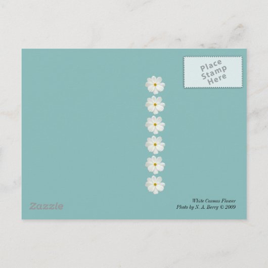 White Cosmos Flower Briefkaart (Achterkant)