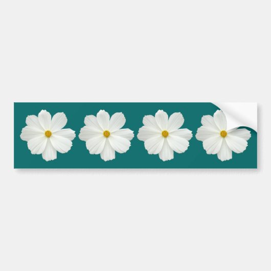 White Cosmos Flower Bumpersticker (Voorkant)