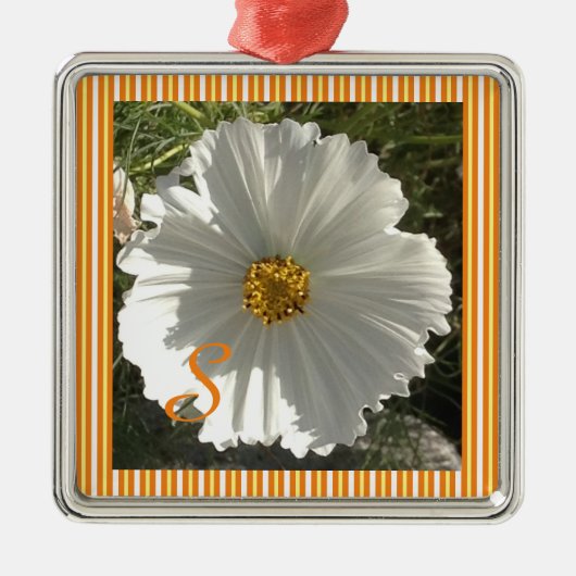 White Cosmos Flower Ceramic Ornament (Voorkant)