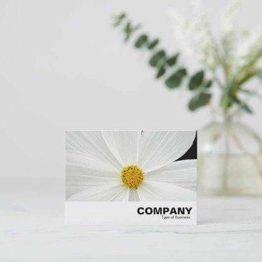 White Cosmos Flower Visitekaartje (Staand voorkant)
