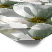 White Cosmos Flowers Abstracte Art Poster (Hoek)