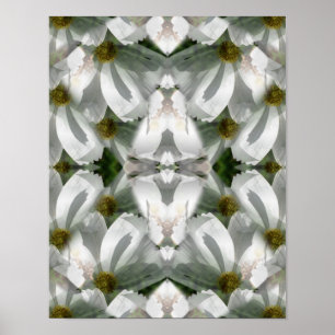 White Cosmos Flowers Abstracte Art Poster
