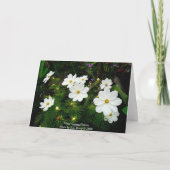 White Cosmos Flowers Kaart (Achterkant)