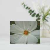 White Cosmos Summer Wildflower Floral Briefkaart (Staand voorkant)