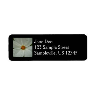 White Cosmos Summer Wildflower Floral Etiket