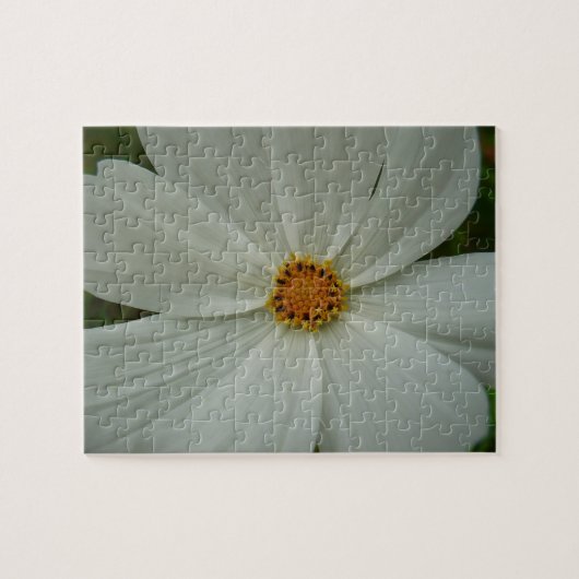 White Cosmos Summer Wildflower Floral Legpuzzel (Horizontaal)