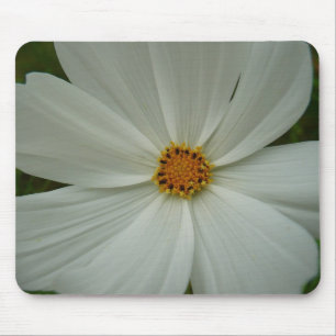 White Cosmos Summer Wildflower Floral Muismat