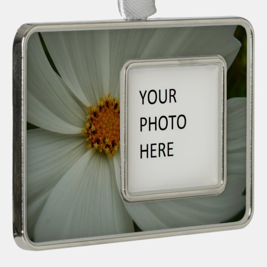 White Cosmos Summer Wildflower Floral Verzilverd Omlijst Ornament (Rechts)